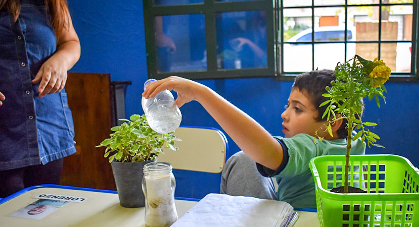 Un niño regando una planta en su escritorio con una botella de agua.