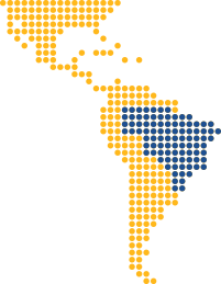 Datos de Impacto Brasil