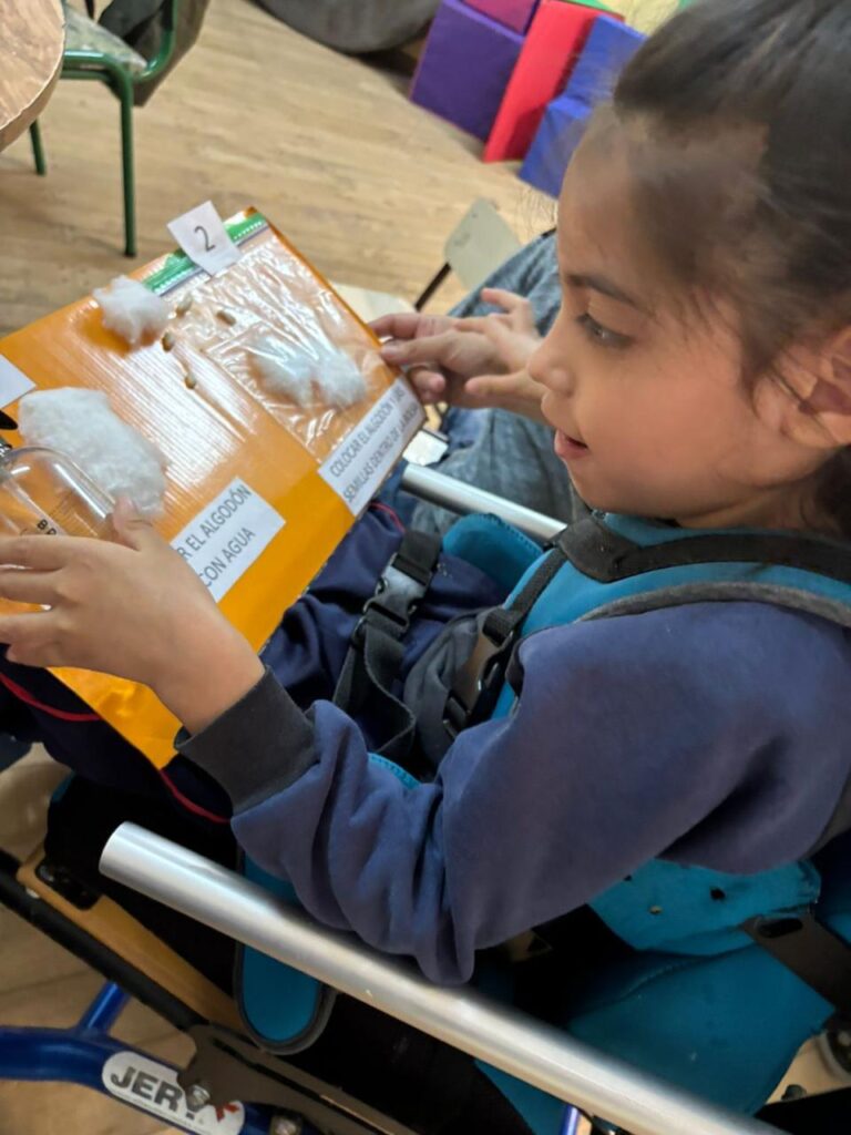 Niña sentada en una silla de ruedas, sosteniendo sobre su falda un panel con materiales táctiles y etiquetas escritas. Con sus manos explora distintos elementos adheridos al panel, como algodón, recipientes transparentes y otros objetos pequeños, durante una actividad de aprendizaje en el aula.